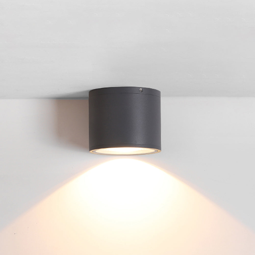 Ray Moderna Cilíndrica LED Metal Lámpara De Techo Exterior